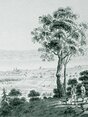 Miniature de la parution 
