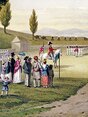 Miniature de la parution 