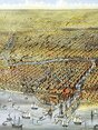 Miniature de la parution 